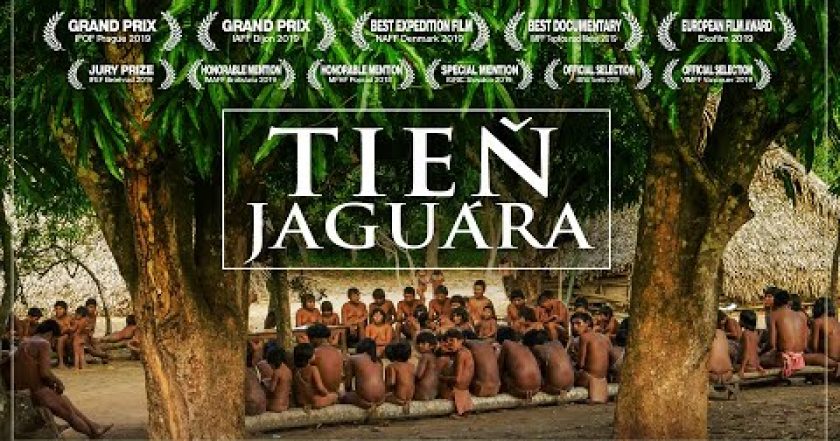 Tieň jaguára