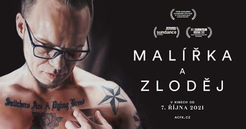 Malířka a zloděj