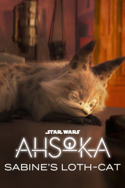 Plakát Star Wars: Ahsoka - Sabine's Loth-Cat