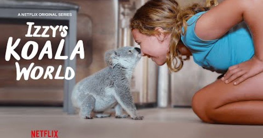 Izzy a její koaly