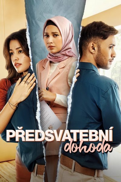 Plakát Předsvatební dohoda