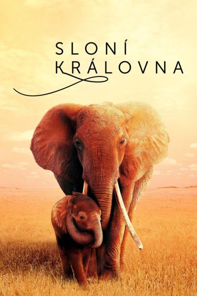Plakát Sloní královna