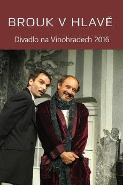 Plakát Brouk v hlavě