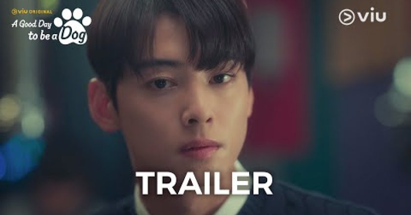 A Good Day to Be a Dog