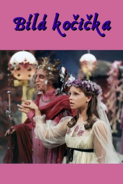 Plakát Bílá kočička