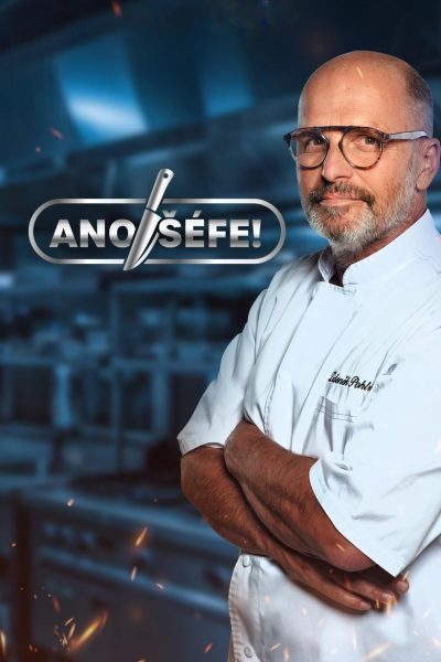 Plakát Ano, šéfe!