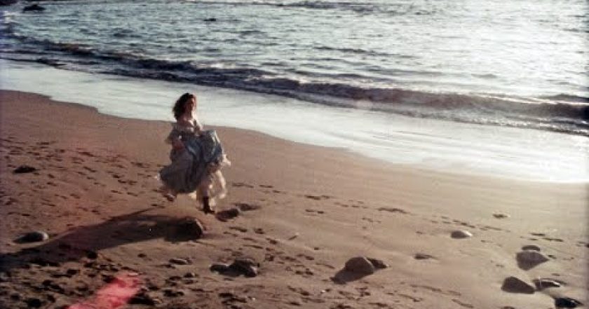 Bláznivá střela 33 ⅓: Poslední trapas