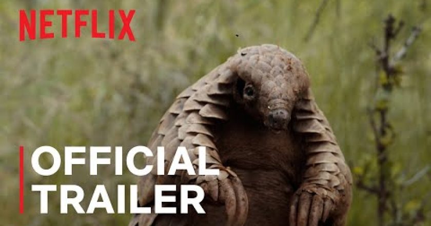 Luskoun: Kulu a jeho cesta