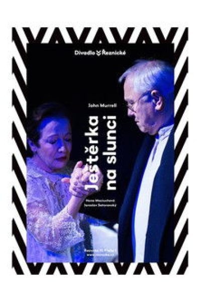 Plakát Ještěrka na slunci