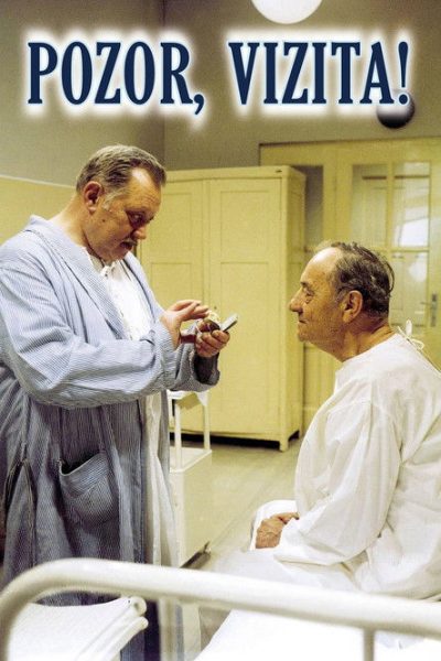 Plakát Pozor, vizita!