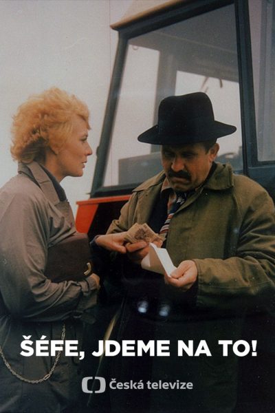 Plakát Šéfe, jdeme na to!