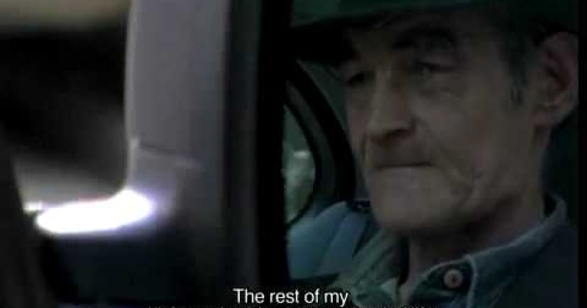 Život podle Iona B.