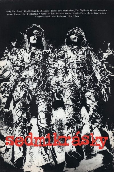 Plakát Sedmikrásky