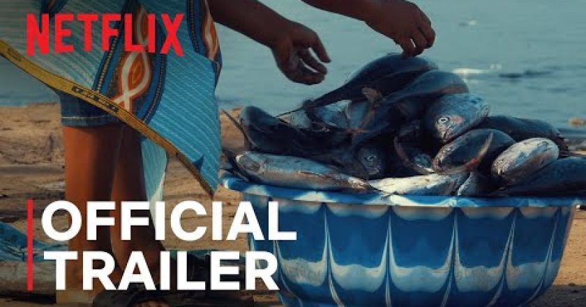 Seaspiracy: Pravá tvář udržitelného rybolovu
