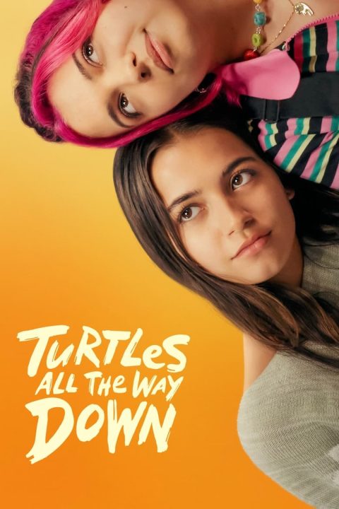 Plakát Jedna želva za druhou