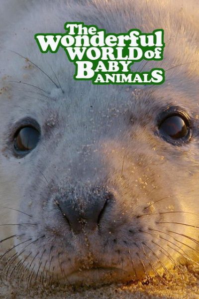 Plakát Pozoruhodný svět mláďat