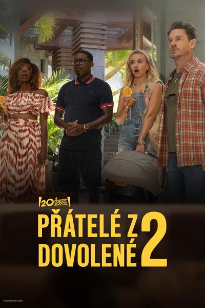 Plakát Přátelé z dovolené 2