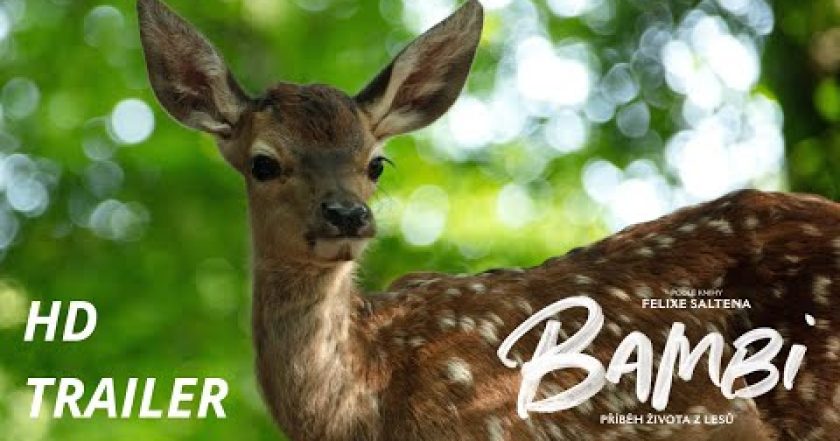 Bambi: Příběh života z lesů