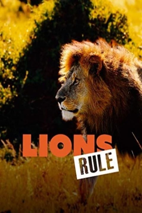 Plakát Lions Rule