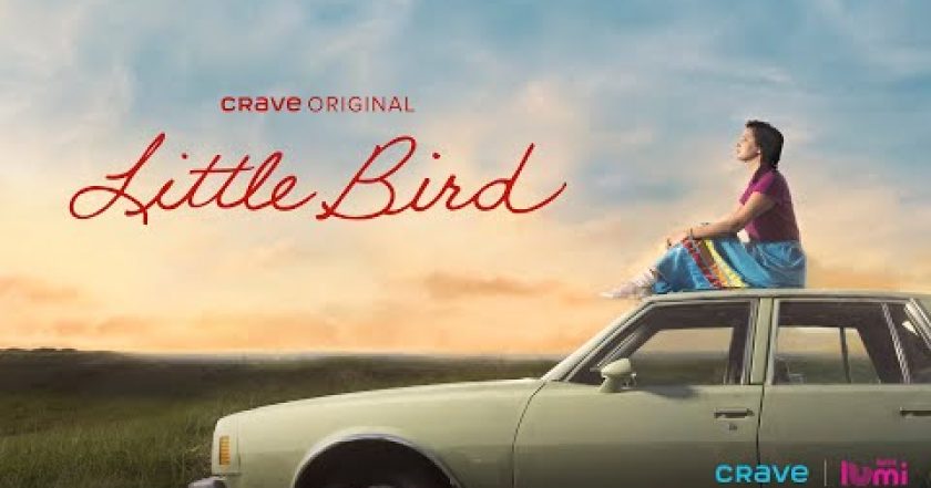 Little Bird