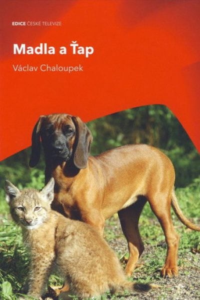 Plakát Madla a Ťap