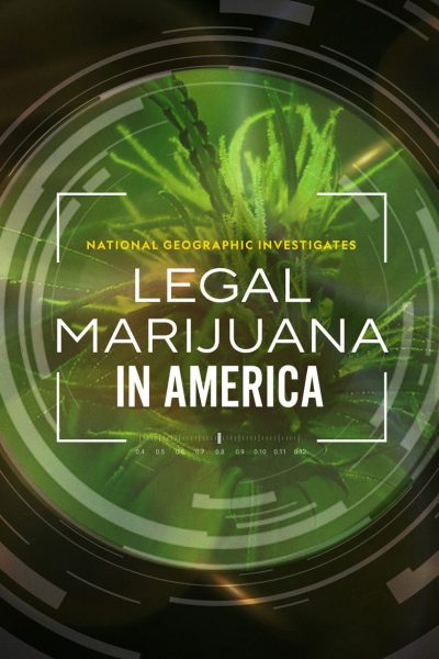 Plakát Legalizace marihuany v Americe: Nová vlna zelené horečky