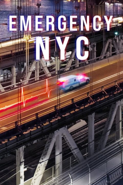 Plakát Pohotovost: NYC