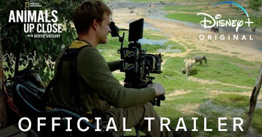Zvířata zblízka s Bertiem Gregorym