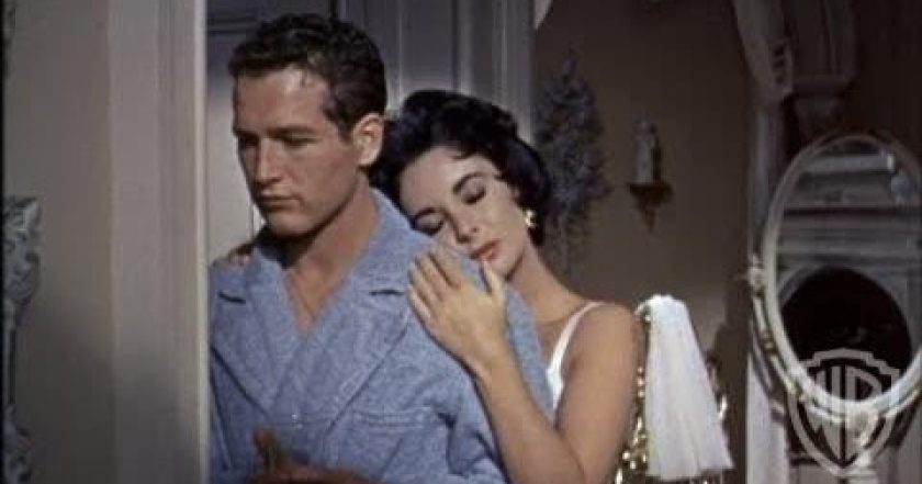 Kočka na rozpálené plechové střeše