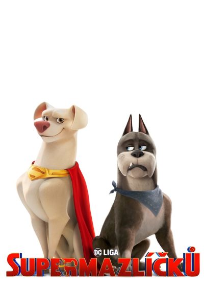 Plakát DC Liga supermazlíčků