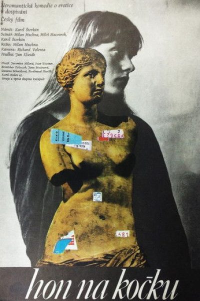 Plakát Hon na kočku