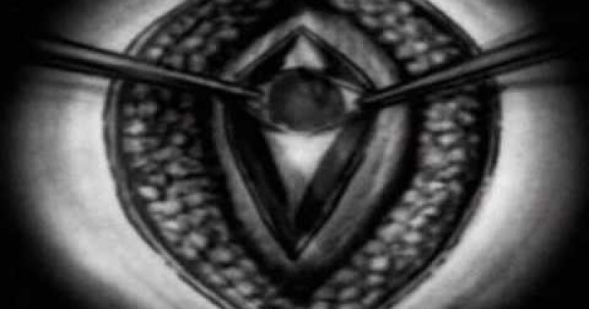 Philosophy Of a Knife